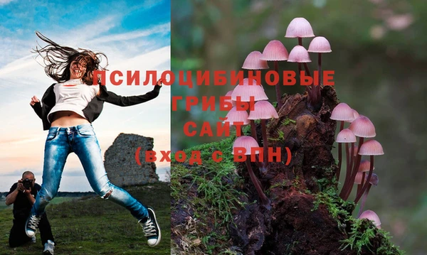 шишки Краснотурьинск