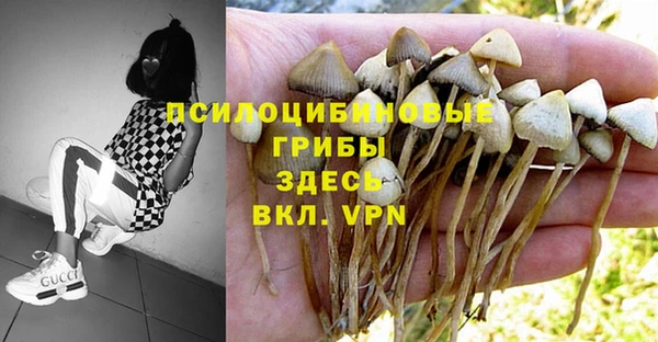 шишки Краснотурьинск