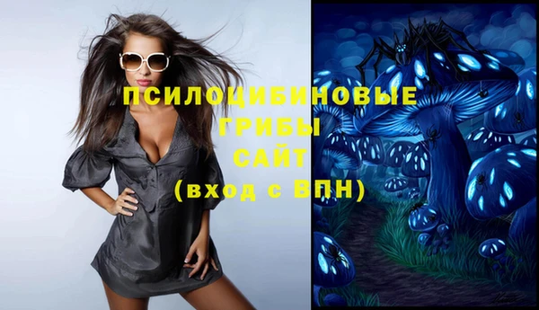 шишки Краснотурьинск