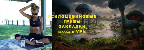 трава Краснослободск