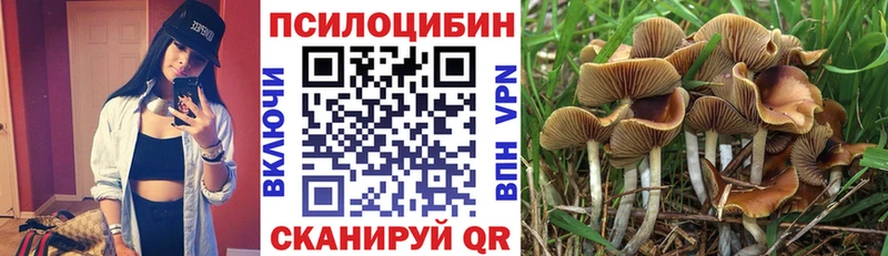 Псилоцибиновые грибы Magic Shrooms  купить наркотики цена  Павловский Посад 
